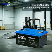 Batterie de traction lithium-ion 51,2 V 105 Ah au phosphate de fer lithium avec BMS intégré pour entrepôt d'usine, certifiée CE UL, OEM ODM