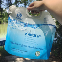 Sac souple personnalisé en PE de qualité alimentaire avec soufflet latéral et poignée pour bière, jus, vodka, whisky, tequila – Diverses tailles (500 ml-20 L)