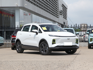 Géométrie E vente en gros, haute qualité, <span class=keywords><strong>location</strong></span>, Charge <span class=keywords><strong>rapide</strong></span>, Auto, batterie électrique privée, prix bon marché, <span class=keywords><strong>voiture</strong></span> électrique - Product Image 4