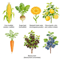 Luteïne Ester Zeaxanthine Fruit-geïnfuseerde Gummies Snoep OEM ODM Witte Etiket Oogverzorging Natuurlijke Fruit Smaak Aangepast Logo Op Maat