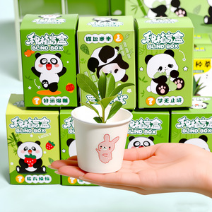 Caja Sorpresa Panda Planting con Plantas en Maceta de 7cm, Semillas de Flores para Oficina, Observación del Crecimiento, Regalo DIY - Product Image 2