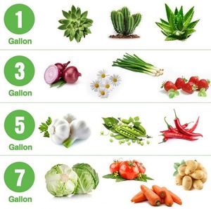 Sac de plantation suspendu pour fraises et légumes, idéal pour jardin vertical extérieur - Product Image 6