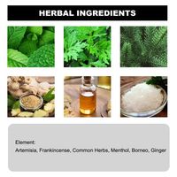 Patch Minceur Détoxifiant à l'Extrait d'Armoise pour Adultes - Patch Chinois à Base de Plantes pour Brûler les Graisses et Raffermir les Bras