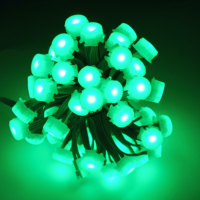 Guirlande lumineuse LED 20 mm IP67, contrôle multifonction, lumières de Noël d'extérieur pour jardin, paysage, corps en PC, corps en PC, indice de protection IP