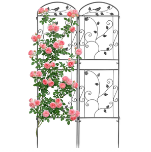 Lot <span class=keywords><strong>de</strong></span> 2 treillis <span class=keywords><strong>de</strong></span> jardin verticaux en métal pour la surveillance <span class=keywords><strong>de</strong></span> la <span class=keywords><strong>santé</strong></span> des plantes, pour murs <span class=keywords><strong>de</strong></span> jardin, murs <span class=keywords><strong>de</strong></span> garage et murs vides - Product Image 1