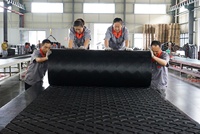 Matras Sapi 4 X 6 Kaki Alas Kandang Kuda Dalam Ruangan Tahan Aus Anti-Selip Alas Karet Untuk Kuda/Sapi/Babi/Hewan/Ternak
