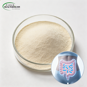 Poudre de probiotiques lyophilisés <span class=keywords><strong>Lactobacillus</strong></span> Rhamnosus <span class=keywords><strong>GG</strong></span> (ATCC53103) cliniquement étudiés, pour la santé intestinale, en vrac, fabrication OEM, directement de l'usine - Product Image 1