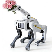 Perro Robot Educativo con IA, Control por Aplicación, Programación por Voz y Funciones de Llamada Telefónica, Material Plástico