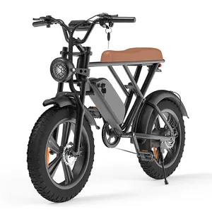 도매 지방 타이어 Ebike 오프로드 전기 자전거와 이동식 배터리