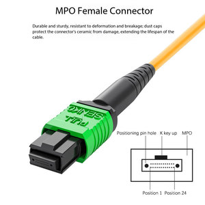 Cordon de répartition de <span class=keywords><strong>fibre</strong></span> optique à large bande de 40G 100G vers 10G 25G - Product Image 3