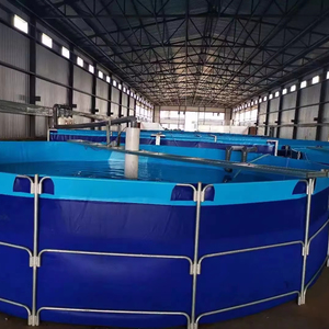 Lvju <span class=keywords><strong>PVC</strong></span> Đóng Mở Cá Hồ Bơi Ao Cá Trang Trại Bể Bạt Cá Cho Nuôi Trồng Thủy Sản Biofloc <span class=keywords><strong>PVC</strong></span> Nuôi Hồ Bơi acuicultura - Product Image 2