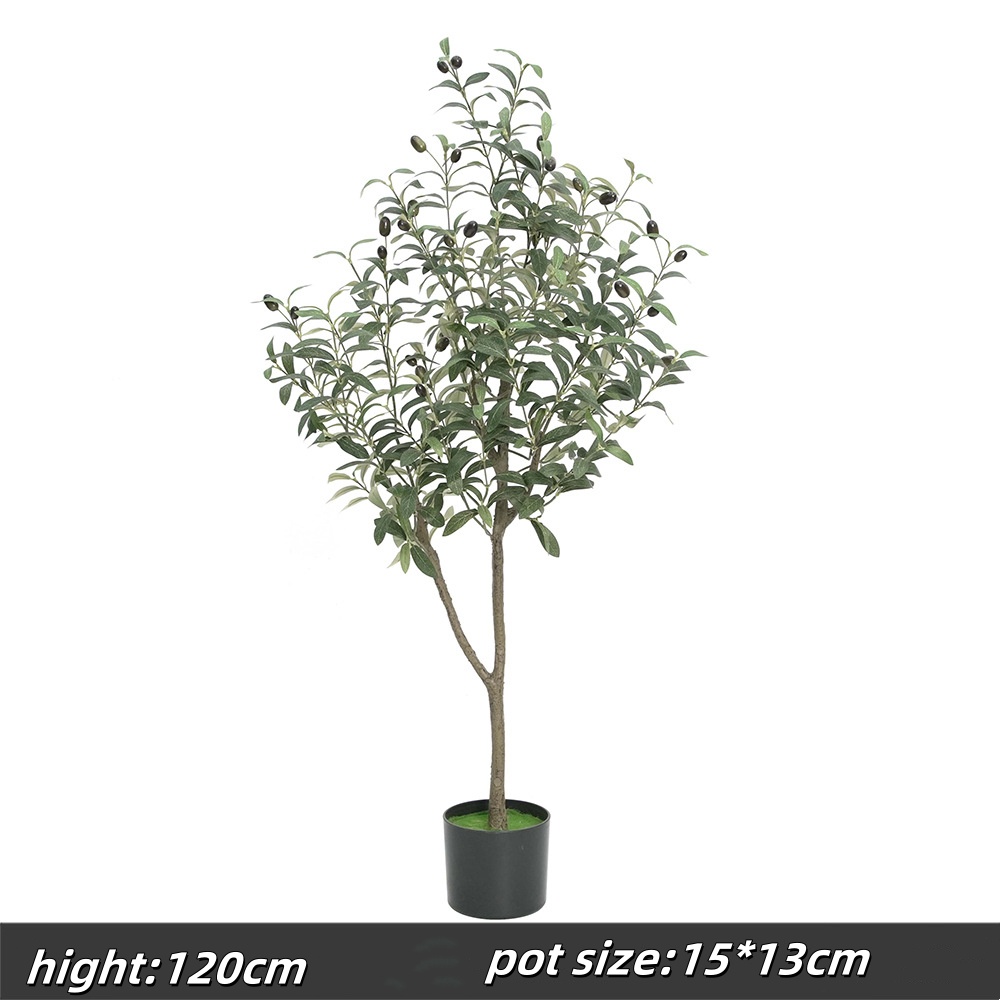 120cm olive tree, type a
