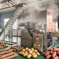 Stoomschilmachine voor abrikozen en pruimen, laagverliezende fruitstoomschilmachine voor de verwerking van geconserveerd fruit