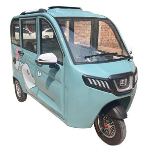 Взрывная модель ударного электрического трехколесного велосипеда с навесом для взрослых - Product Image 5