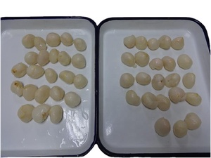 All'ingrosso di alta qualità in scatola litchi in acqua zuccherata frutta fresca e deliziosa per cenare conservato in sciroppo - Product Image 6
