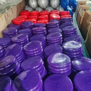 Disque d'équilibre pour chien, coussin d'exercice pour la rééducation canine, renforcement, endurance, conditionnement physique, accessoires de rééducation pour animaux de compagnie - Product Image 2