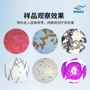 Boshi Jingda Upright Biological <b>Microscope</b> BD-SW3002 Professional Camera For Laboratory Teaching And Medical Diagnosis - Product Image 3