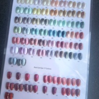 Nouveau Kit de vernis à ongles en gel pour les yeux de chat à haute teneur en paillettes personnalisé 12 couleurs 30 couleurs 36 couleurs Soak Off UV Cat Eye Gel Nail Polish Set avec affichage