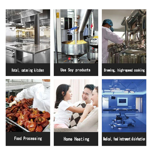 מחולל כוח קיטור אנכי חדש 300 ק""ג מנוע קיטור מופעל על גז לשימוש תעשייתי עבור מלונות מסעדות חוות - Product Image 4