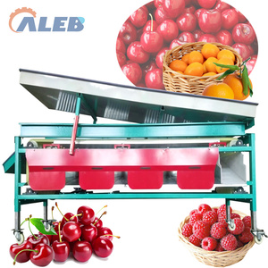 Calibrateur mobile à roues pour la calibrage des baies, avec coussin tampon, pour machine de calibrage des cerises à alimentation stable, destiné aux usines d'emballage de baies fraîches - Product Image 1