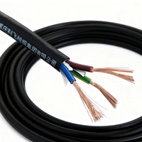 Câble de commande basse tension RVVP industriel, conducteur en cuivre nu toronné, isolé en PVC, blindé en cuivre, 300/500V, 2-5 conducteurs, usage domestique