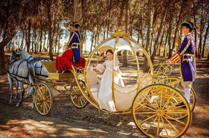 Nouvelle calèche de mariage citrouille Cendrillon à vendre, calèche de décoration de Noël, calèche victorienne pour balades touristiques - Product Image 4