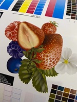 Machine d'impression flexographique à grande vitesse du GP-480-4D 4-Color pour le papier auto-adhésif de label