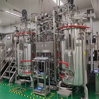 Cuve de Fermentation Acétique Agitée, Réservoir sous Pression 100 Litres, Système de Bioréacteur pour Contrôle PLC, Pompe et Moteur Automatiques