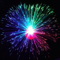 Vente flash Lampe à fibres optiques LED en forme de fleur Lumière optique colorée Veilleuse pour fournitures de fête néon