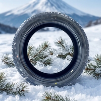 Pneus d'hiver radiaux sans chambre à air pour voitures particulières, pour remplacement/réparation, avec une bonne adhérence, 245/45r20