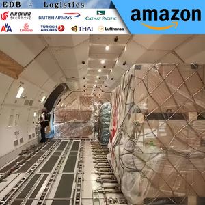 Chine vers les États-Unis/Europe/France/Pays-Bas/Royaume-Uni/Allemagne/Australie, meilleurs frais de transport, livraison porte à porte - Product Image 6