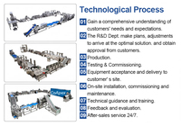 Automatische friet-, fruit- en groenteverwerkingsmachine voor standaardproductie, 300-500 kg/uur, geschikt voor professionele B2B-toepassingen.