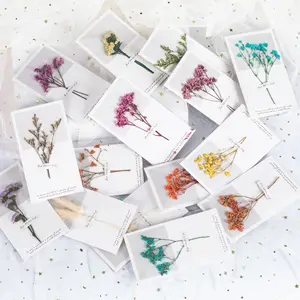 Paper Crafts Dried Flowers Greeting Cards Mini Greeting Cards Customer Greeting Card With Dried Flower