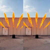 Lance-flammes à 5 têtes de 8-10 m avec effet de feu puissant, étanche pour l'extérieur, machine à jet de flamme pour grands événements et concerts