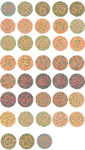 Livre de tests de déficience de la vision des couleurs Ishiharas avec 38 plaques - Product Image 6