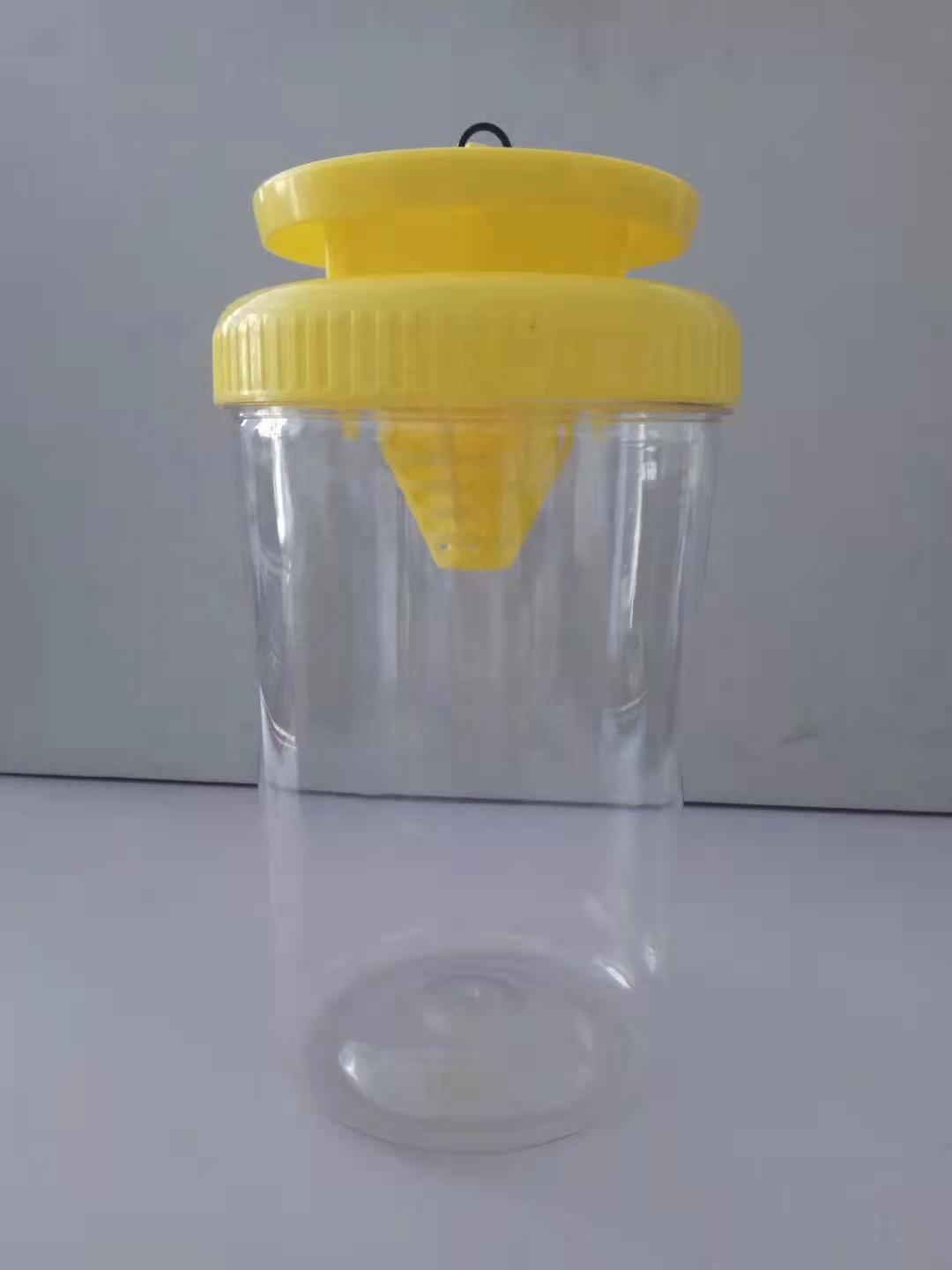 โปร่งใส