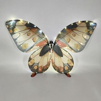 Avion papillon bionique personnalisable, avec ailes bioniques de deux côtés de couleurs différentes, pour accessoire de scène de mariage