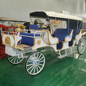 Autobús Turístico Estándar para 7-10 Pasajeros y Autobús de Transporte de Pasajeros, Vehículo Turístico Eléctrico, Carruaje Turístico a Caballo en Venta - Product Image 4