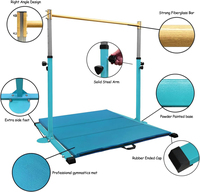 Dispositif de traction en acier à hauteur réglable avec tapis de protection et anneaux Équipement d'entraînement de gymnastique à domicile pour enfants pour une utilisation physique