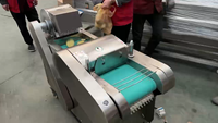 LTK Nieuwe Keuken Groente Snijmachine Snijder Kool Ui Wortel Gember Restaurant Gebruik Kernmotor Tandwielonderdelen 220V/380V