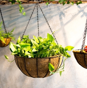 Pot de fleurs suspendu en fibre de coco biodégradable et écologique, motif dessin animé classique, pour semis et plantes de jardin domestique - Product Image 4