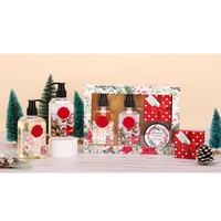 Kit de bain nettoyant pour le corps 280ml, shampoing nourrissant et 50g de savon, bon marché, cadeau de noël