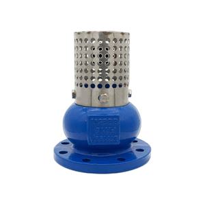 Vanne <span class=keywords><strong>à</strong></span> <span class=keywords><strong>pied</strong></span> <span class=keywords><strong>à</strong></span> commande <span class=keywords><strong>manuelle</strong></span> H42X avec filtre intégré en fonte ductile DN50-DN300 <span class=keywords><strong>à</strong></span> bride anti-retour pour <span class=keywords><strong>pompe</strong></span> <span class=keywords><strong>à</strong></span> <span class=keywords><strong>eau</strong></span> - Product Image 6