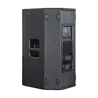 Haut-parleur DJ actif en bois de 15 pouces, Bluetooth, enceinte PA, amplificateur de classe D, DSP, 500 W