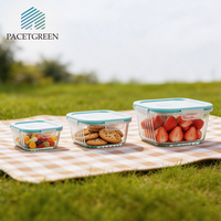 Plat à four carré en verre borosilicate, compatible micro-ondes, ensemble de boîtes repas en verre texturé, plat à lasagne pour la préparation des repas au four