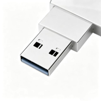 Clés USB Métalliques Portables 2-en-1 Type-C 2.0 de 8 Go à 2 To pour iPhone et Android – Personnalisables