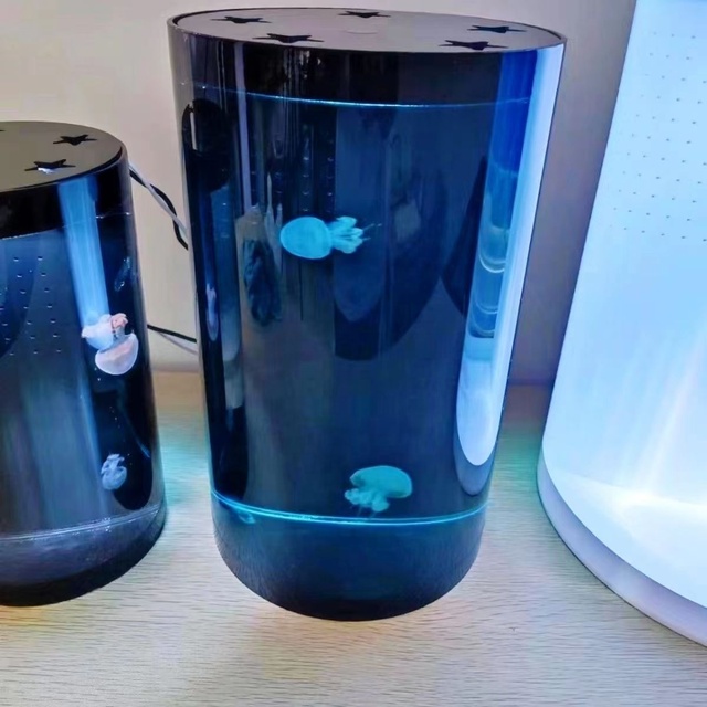 Modern LED RGB Acrylic 10 Inch Jellyfish Tank USB Rechargeable Night Light Small to Large Sizes for Bedroom Power Via Touch