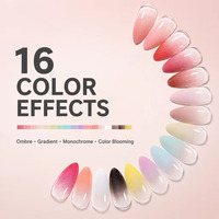 Vernis à ongles en gel Pat Pat HS Custom HEMA Free 5G, 16 couleurs, effet dégradé, haute pigmentation, pour salon de manucure professionnel