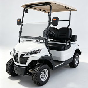Nuevo Modelo D Carro de Golf Eléctrico de 2 Plazas con Estructura de Aluminio - Product Image 1