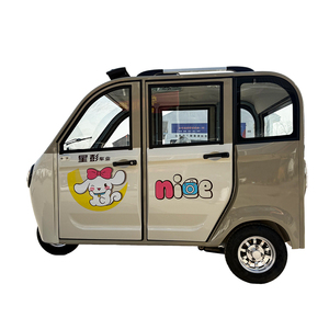 2026 nouvelle Mini voiture électrique pour adultes avec efficacité énergétique Tricycles électriques à trois roues et deux portes à carrosserie fermée bon marché - Product Image 1
